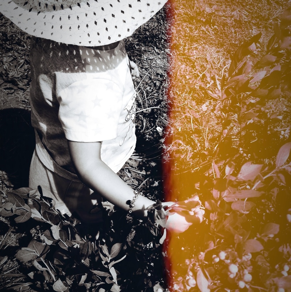 Meet your Posher, Bnarie